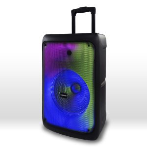 Parlante  Panavox BX1252