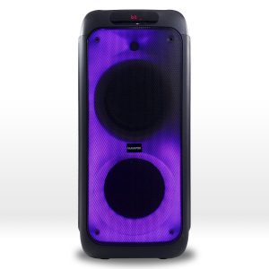 Parlante  Panavox D08K