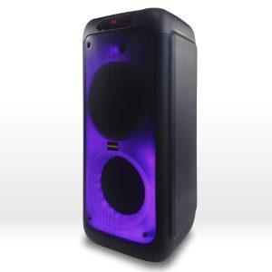 Parlante  Panavox D08K